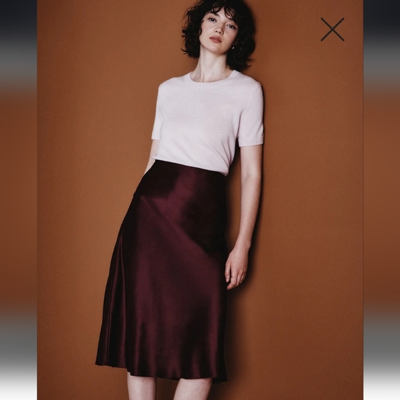 Quince Dresses & Skirts - Quince 100% Washable Mulberry Silk Skirt